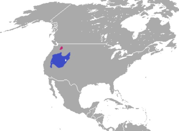 Range Map for Pygmy Rabbit