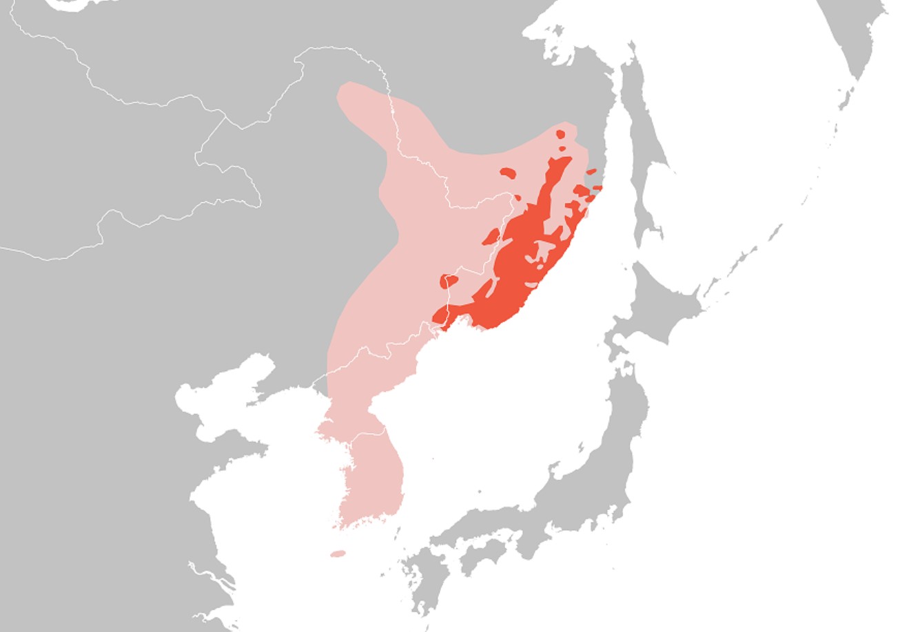 Range Map for Siberian Tiger