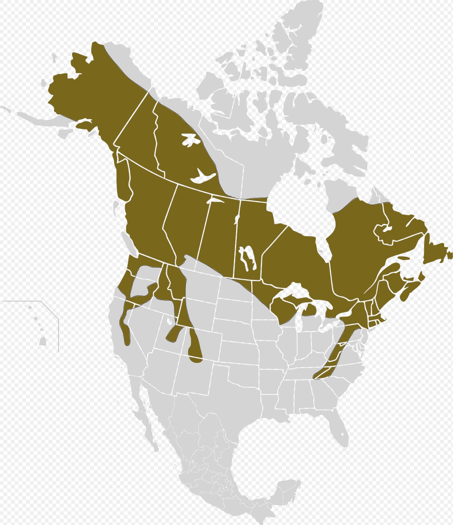 Range Map for Snowshoe Hare