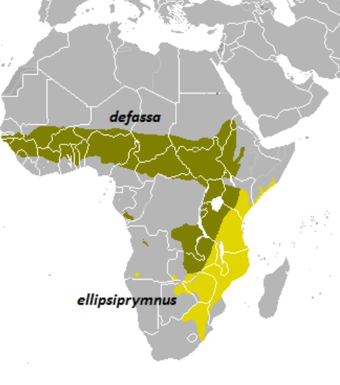 Range Map for Waterbuck