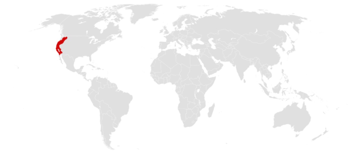 Range Map for Western Gray Squirrel