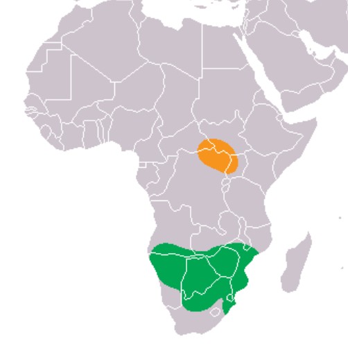 Range Map for White Rhinoceros