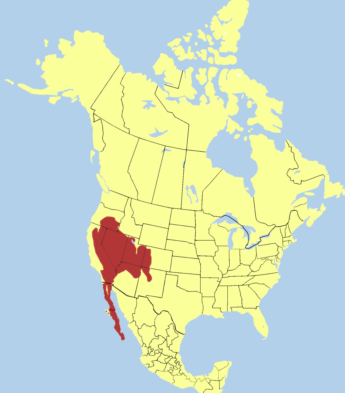 Range Map for White-Tailed Antelope Squirrel