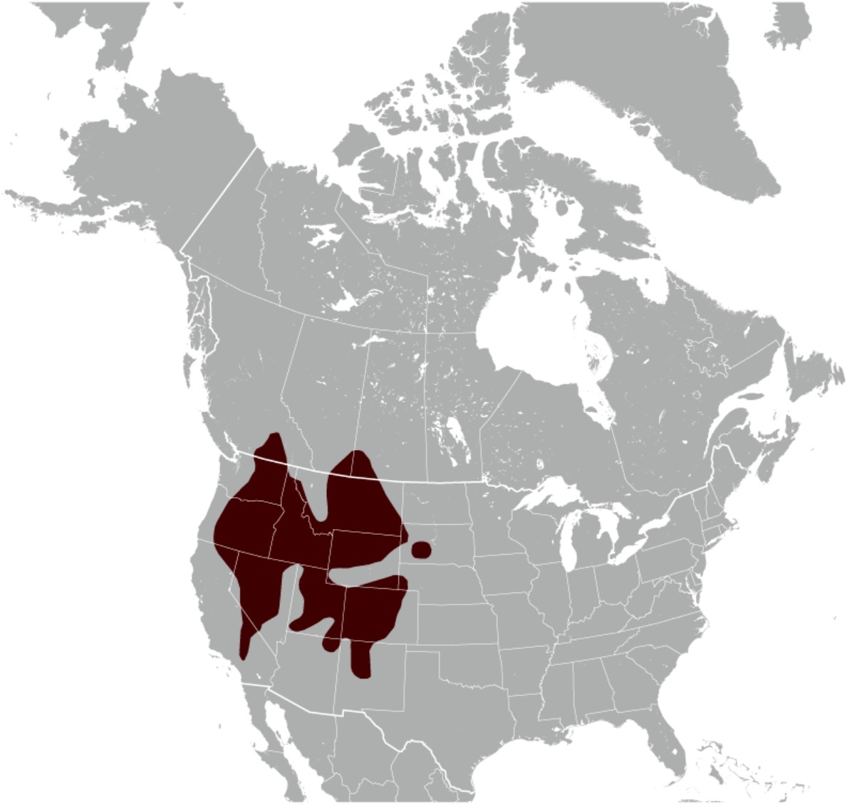 Range Map for Yellow-Bellied Marmot