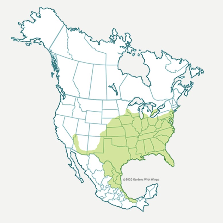 Range Map for Hackberry Emperor