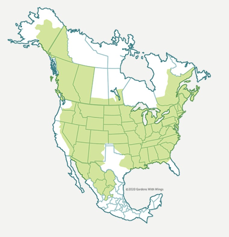 Range Map for Spring Azure